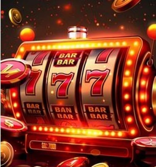 23win66