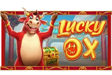 23win66